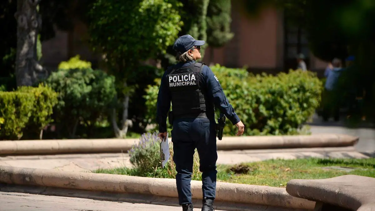 Policía, elemento (1)